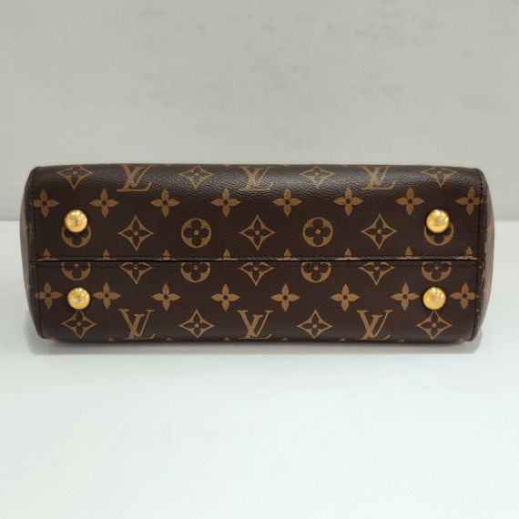 루이비통 모노그램 클루니 MM 숄더백 내장칩 M42735