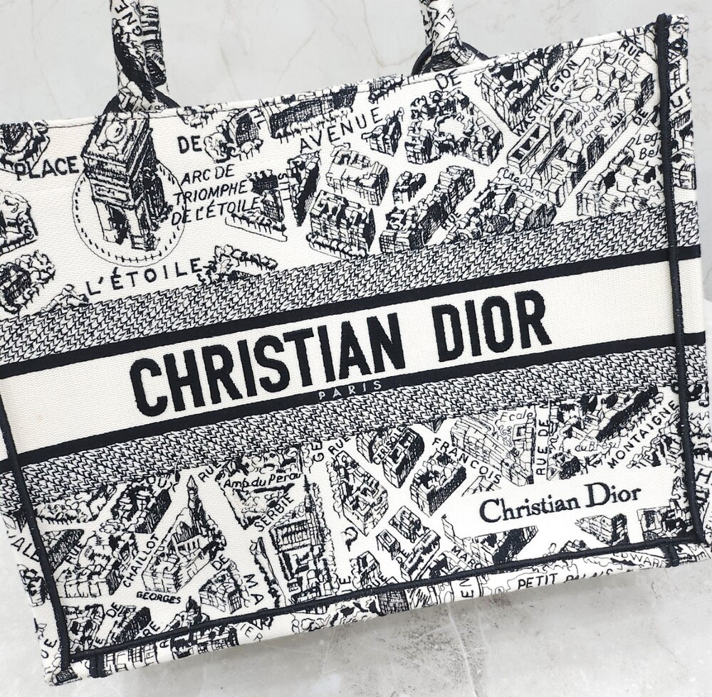 [럭스유] 디올 북토트 미디엄 플랑 드 파리 M1296ZOMP