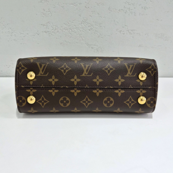 루이비통 모노그램 캔버스 클루니 BB 토트백 m42738