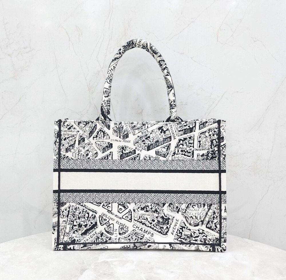 [럭스유] 디올 북토트 미디엄 플랑 드 파리 M1296ZOMP